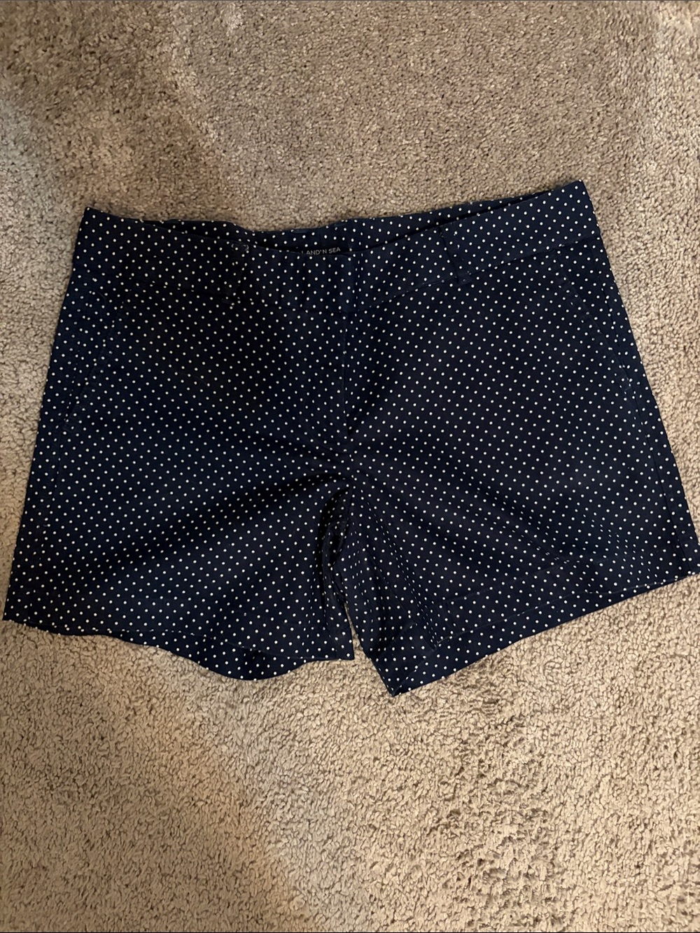 Women’s Navy Polka Dot Stretch Shorts